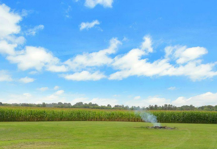 Homesteading in Ontario: The Complete Guide