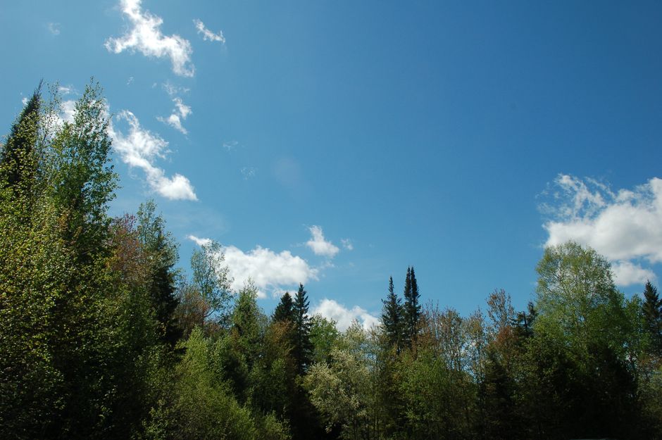 How to Buy Land in Smooth Rock Falls, Ontario: The $500 Lot Reality