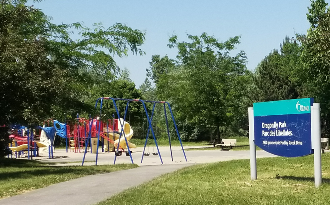 dragonfly park